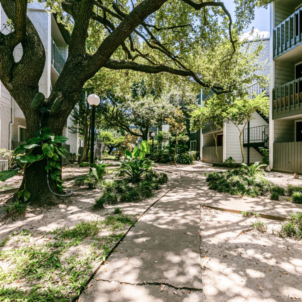 Landscaping between apartment buildings at The One at 5959 in Houston, Texas