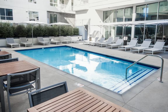 Pool at OLiVE DTLA in Los Angeles, 90015