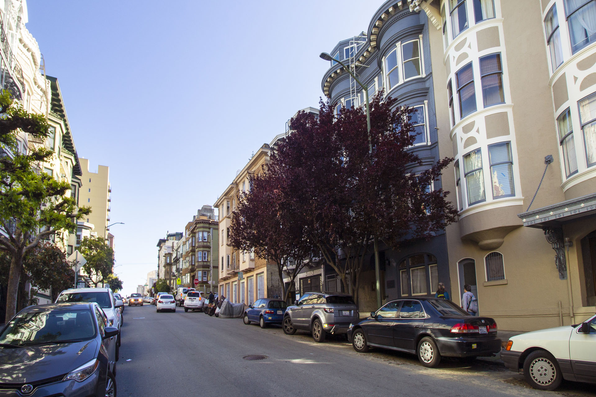 1225 Taylor Building Photo 6
