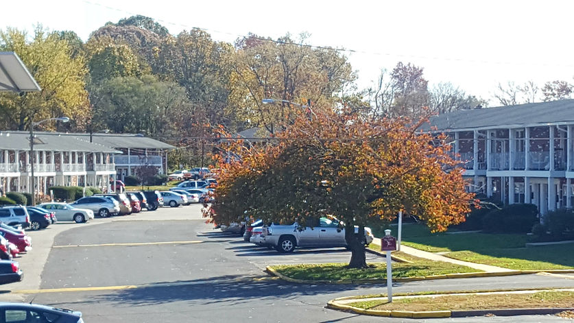 Picture of parking lot