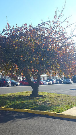 Picture of parking lot