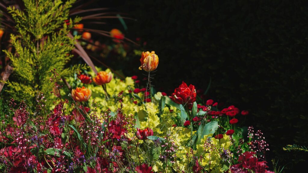 Bright red and orange tulip flowers growing alongside small yellow blooms resting in a dark spring garden.