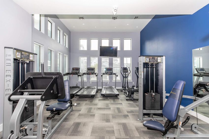 A well-lit gym interior featuring exercise equipment including treadmills, elliptical machines, and weight machines. The walls are painted blue, and large windows provide natural light. A flat-screen TV is mounted on the wall, and a mirror reflects part of the space. The flooring is covered with gray carpet tiles.