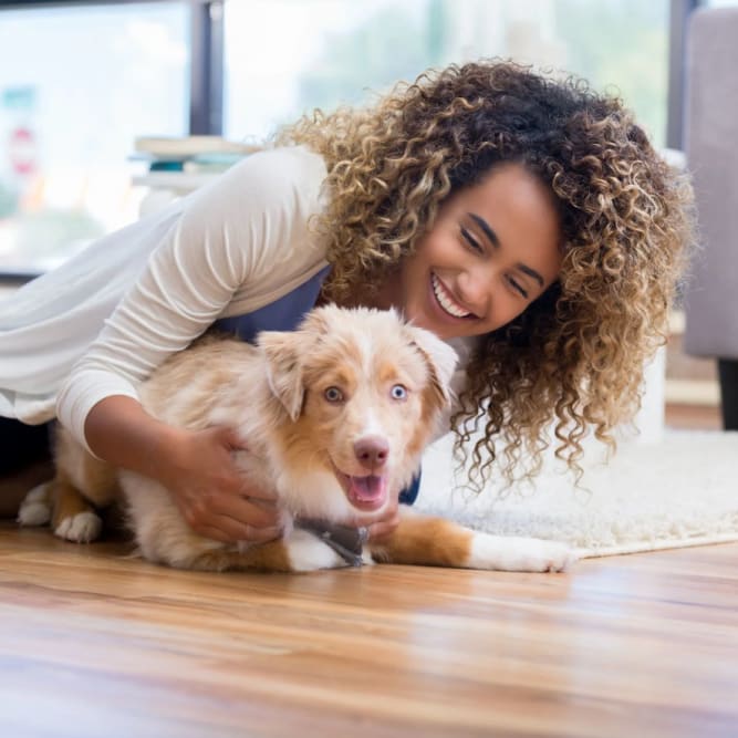 Resident petting a dog at The Brook in Glen Allen, Virginia