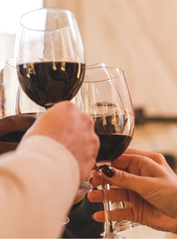 A group of people are toasting with wine glasses.