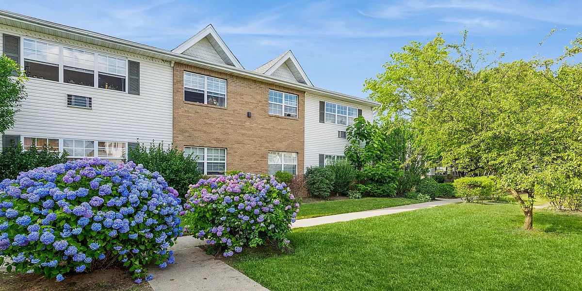 Charming townhouse surrounded by vibrant hydrangeas and lush greenery under a clear blue sky.