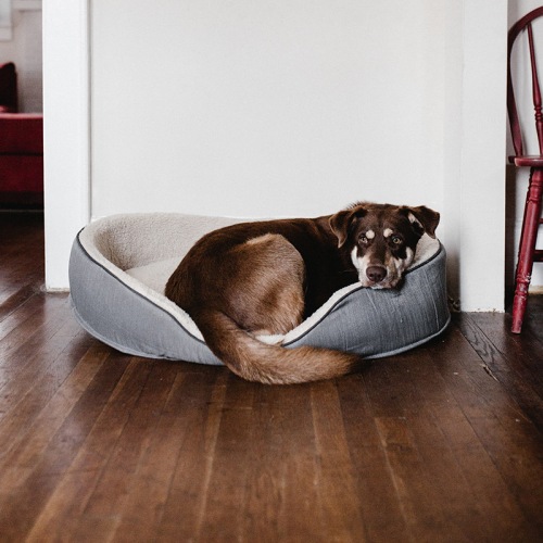 Pet-Friendly