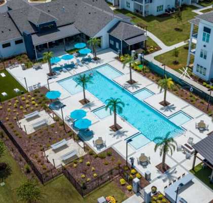 A large swimming pool surrounded by palm trees and lounge chairs.