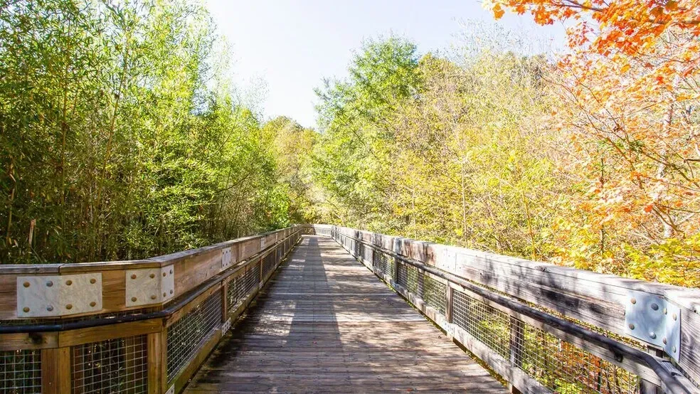 Wooden boardwalk through a sunlit forest in autumn with colorful trees on both sides.