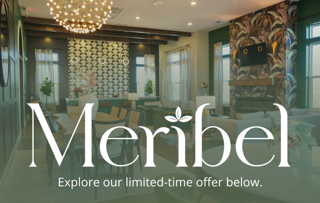 Meribel Promotional Leasing Special