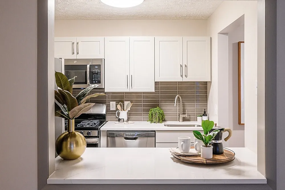 Kitchen Feature