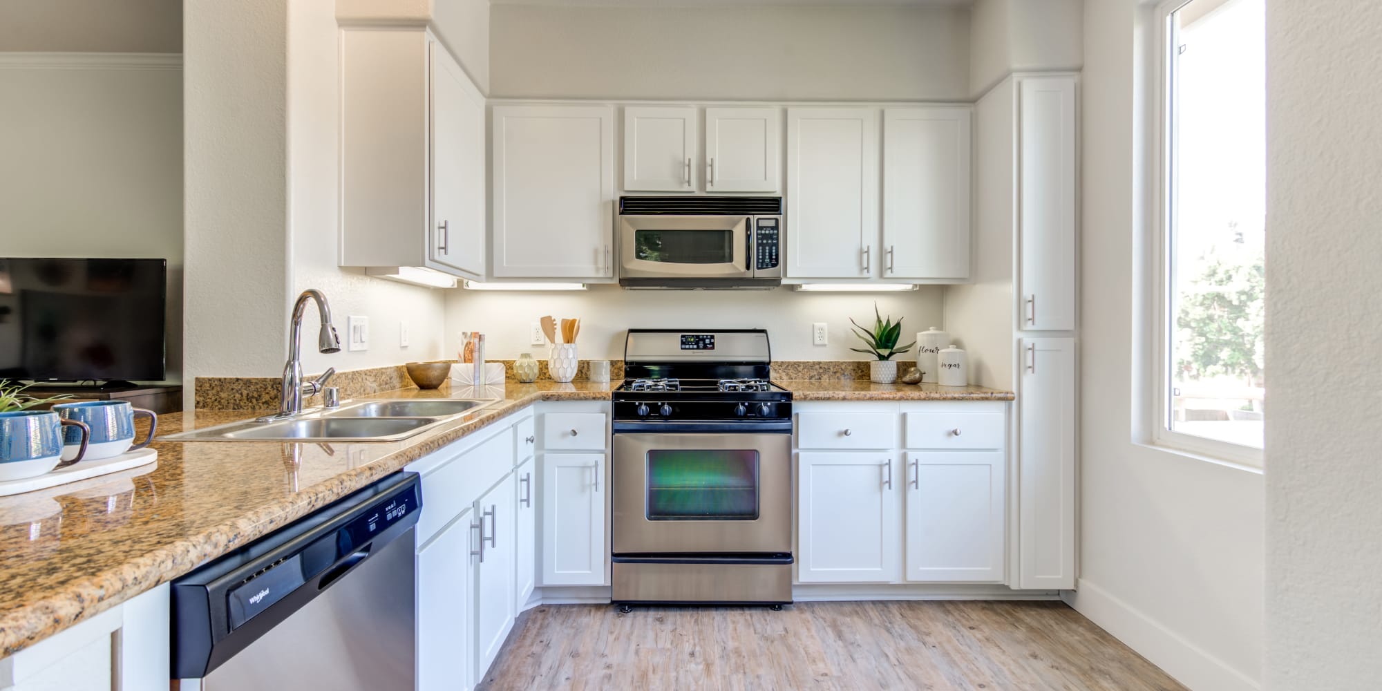 Apartments at Sofi Shadowridge in Vista, California