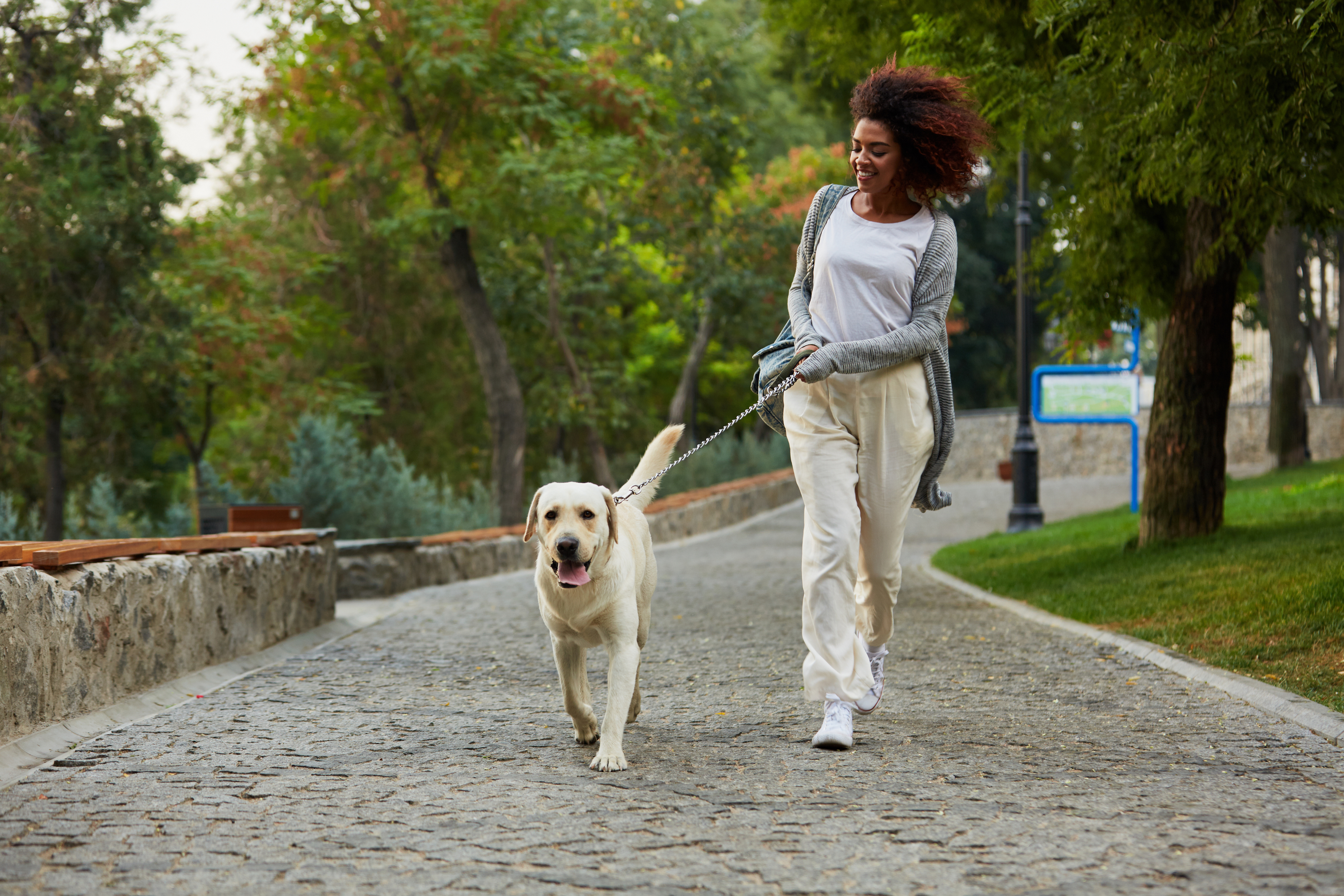A woman walks a yellow Labrador Retriever on a leash along a stone path in a park with green trees and grass, just steps away from the vibrant Dallas Apartments in the Cabana Design District.