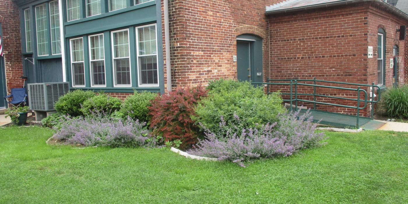 Sassafras Terrace