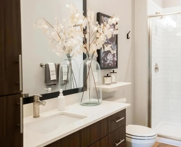 Upgraded Bathroom Featuring Walk-In Shower and Sleek Countertop Design