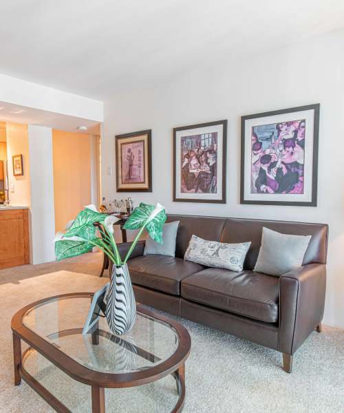 Living room with sofa at The Pavilion in Maryland Heights, Missouri