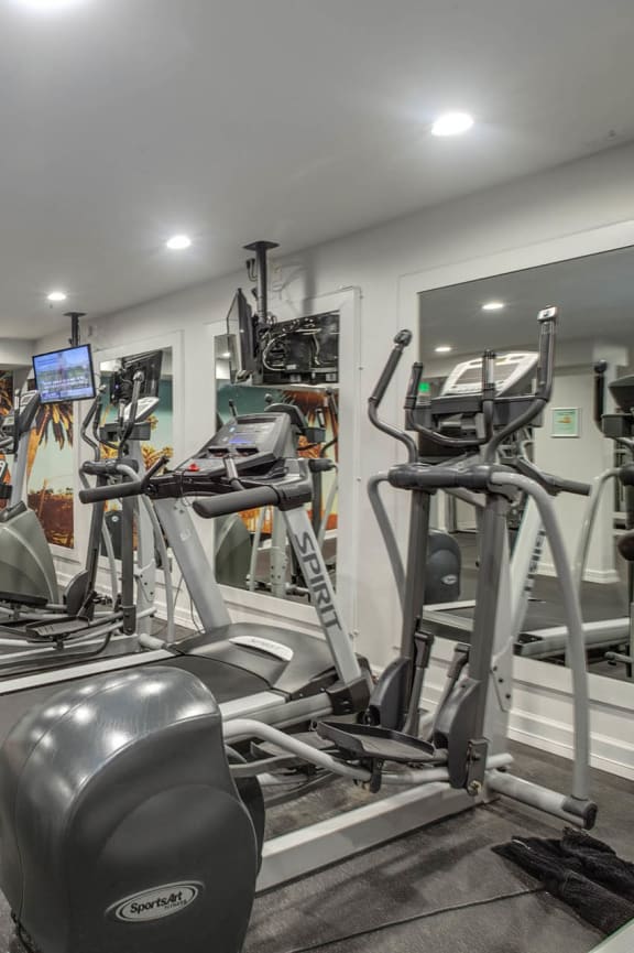 a gym with weights and a wall mural of palm trees at Duet on Wilcox, California, 90028
