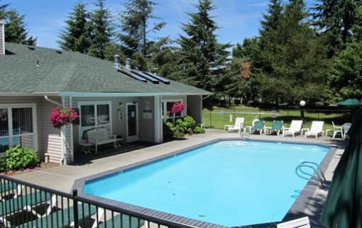 Lacey, WA Pet Friendly Apartments - Emerald Pointe - Swimming Pool With Metal Handrails, White Lounge Chairs, Tall Pine Trees, And A Clubhouse With Hanging Flower Baskets.