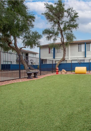 Fenced dog park at Midtown on Seneca Apartments with artificial turf, benches, a yellow tunnel, and mature trees.