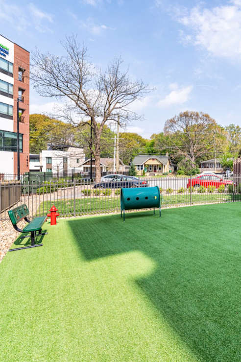 Dog Park at Park and Kingston, Charlotte, NC, 28203