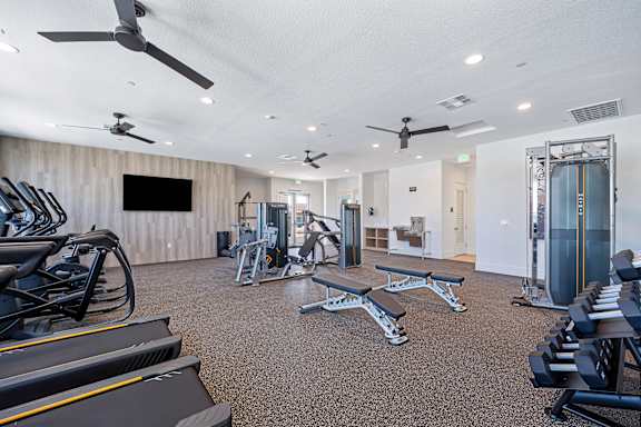 A gym with treadmills, weights, and exercise equipment.