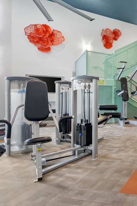 A gym with a variety of equipment including a treadmill, weights, and a bench press.