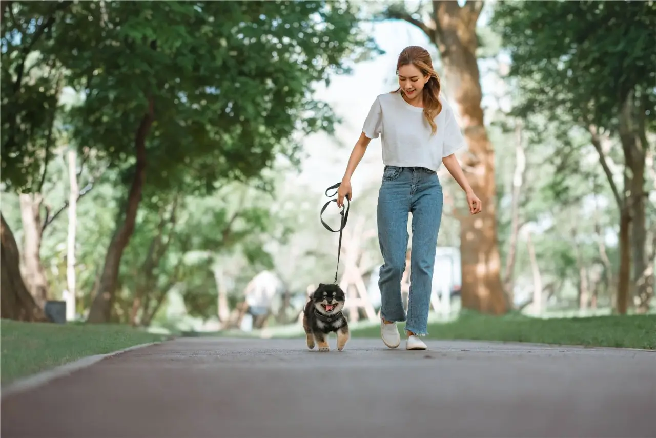 owner walking little dog at pet-friendly apartments