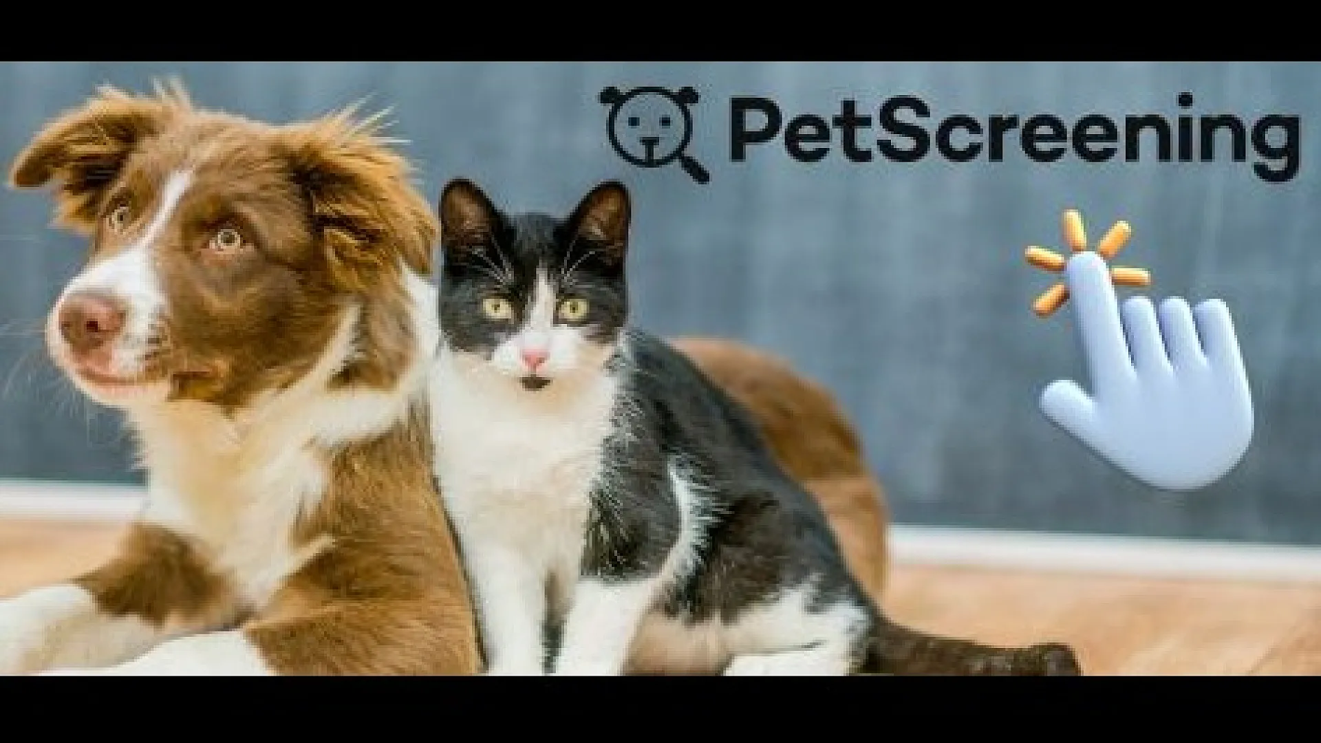 Charming home scene with a friendly dog and cozy cat sitting together, promoting pet-friendly living with PetScreening.