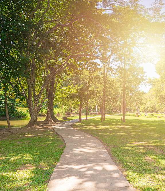 A sunlit pathway in a lush green park.