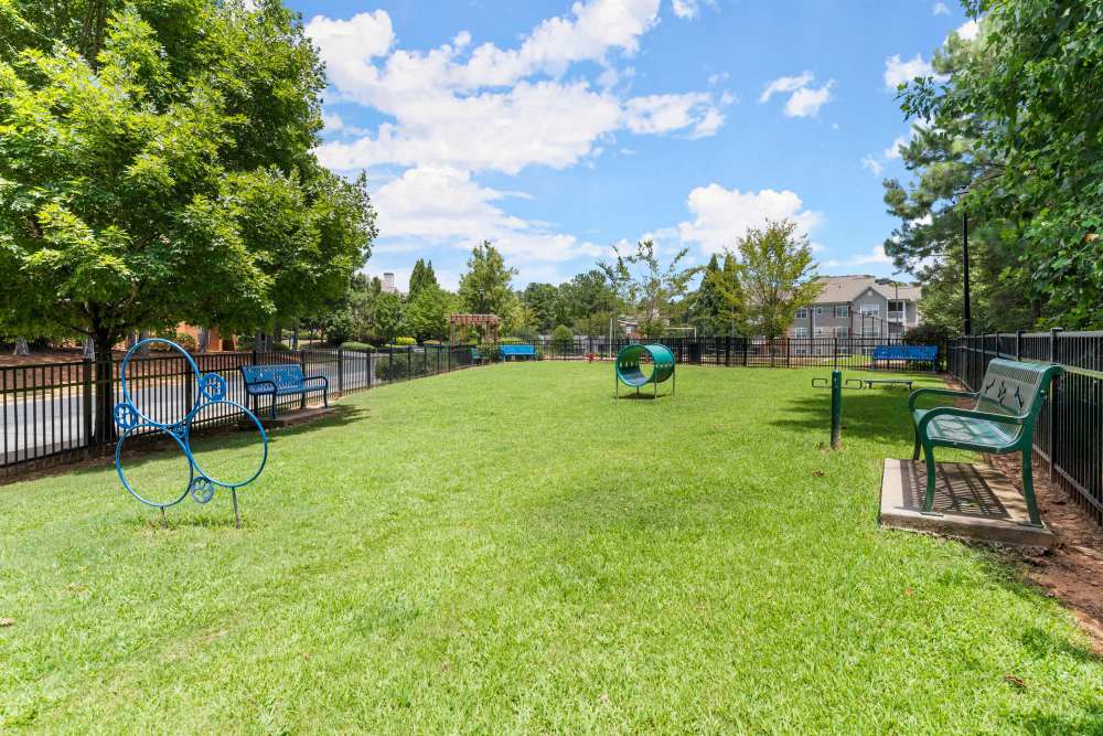 Outdoor park at The Cedars at Johns Creek in Johns Creek, Georgia