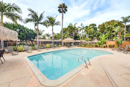 A large swimming pool surrounded by palm trees and lounge chairs.