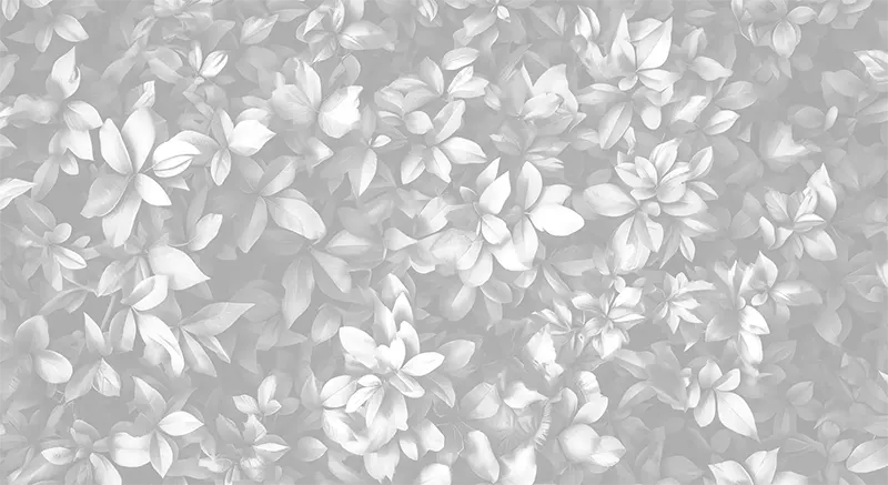 Background pattern