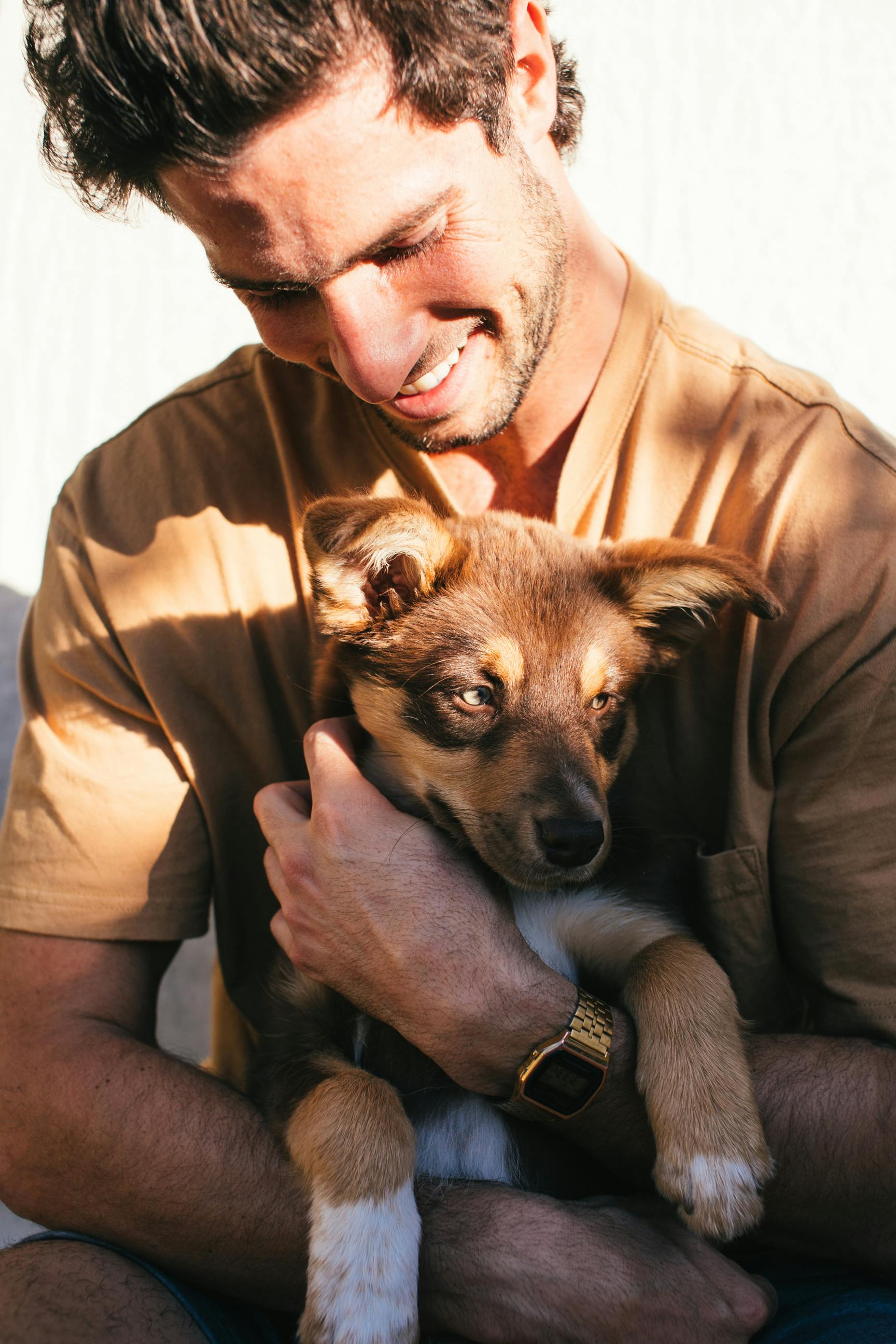 Man holding a brown dog stock image