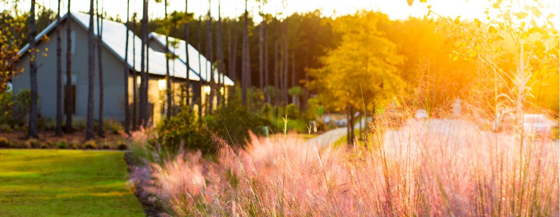 outdoor landscaping