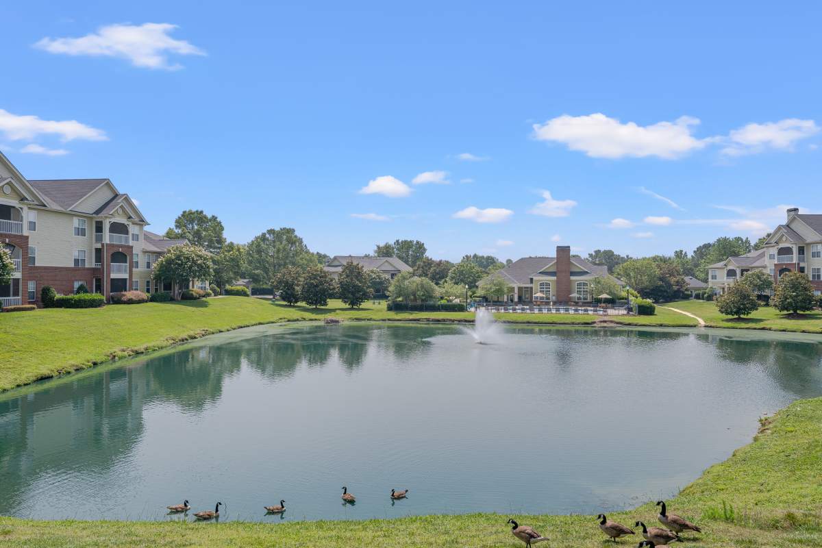 Lush green landscaping and pond at Kildaire Reserve Apartments, Cary, North Carolina