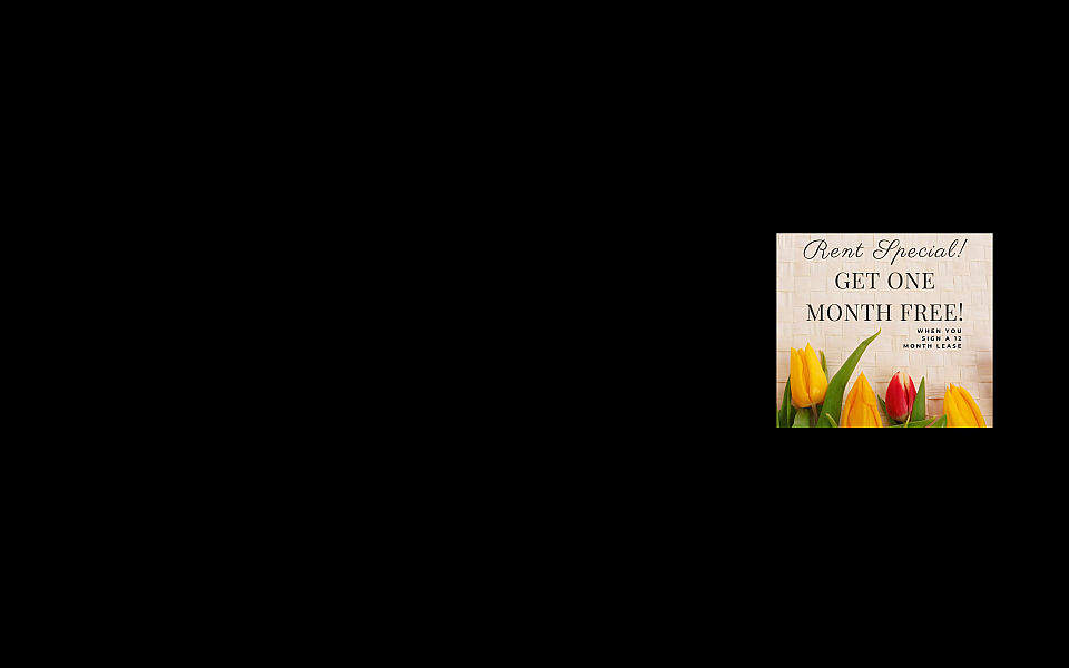 Rent special offer with vibrant tulips on woven background, promoting one month free with 12-month lease.