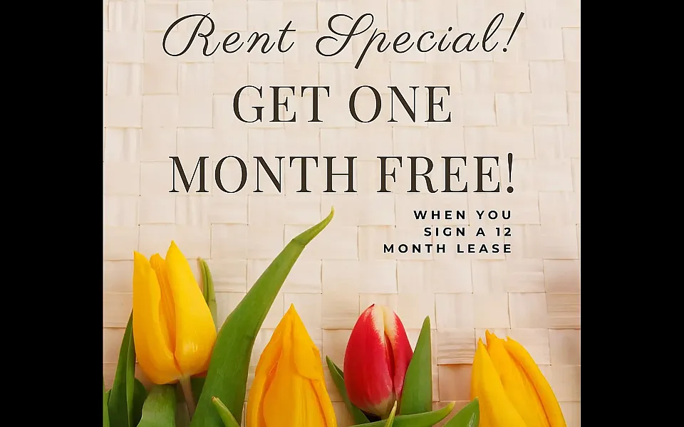 Bright and cheerful promotional image for rent special with tulips, offering one month free on a 12-month lease.