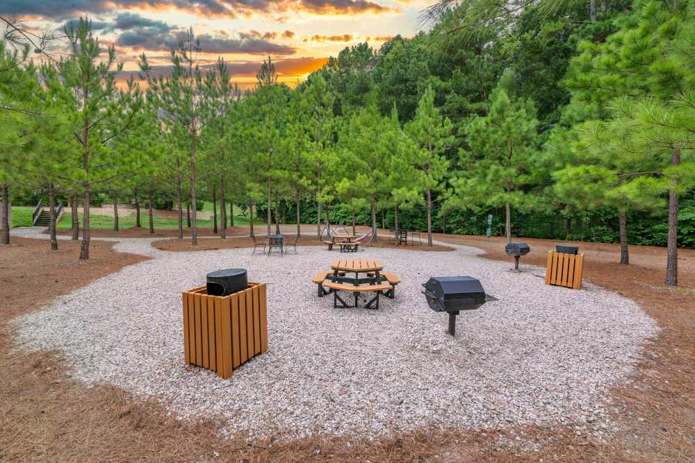 Grill area at The Ellery of Cary in Cary, North Carolina