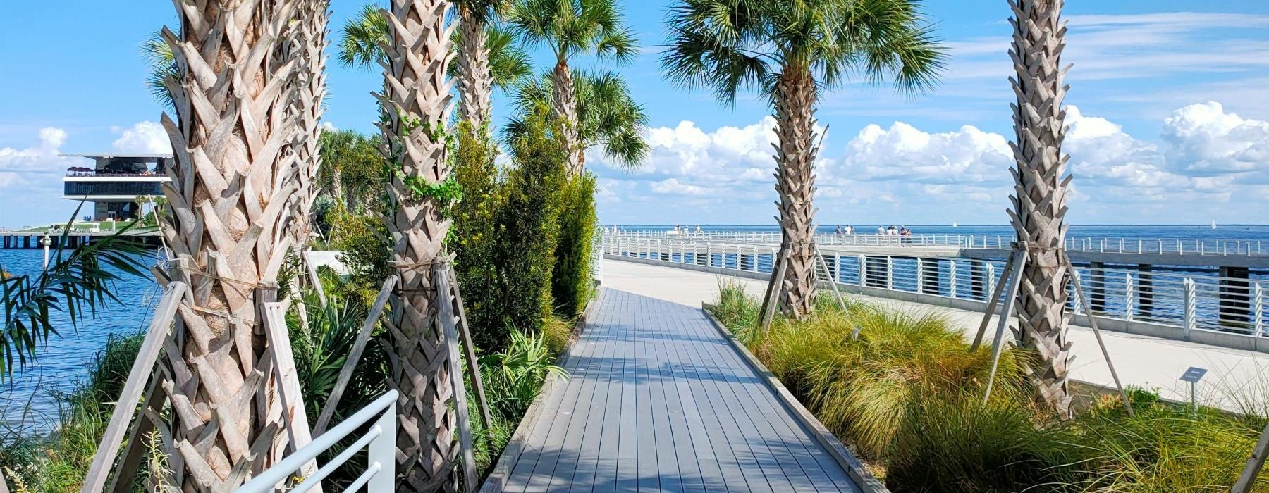 a wooden walkway with palm trees and a body of water in the background
