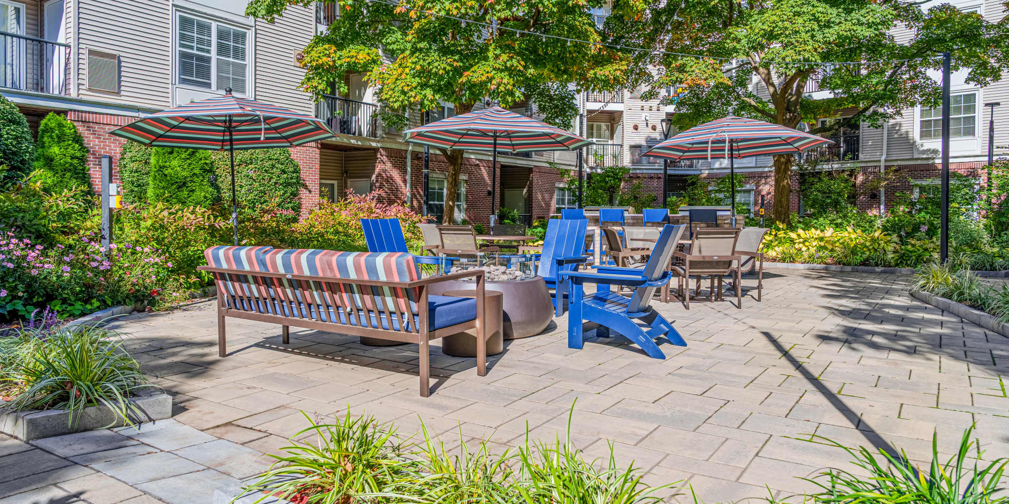 Sofi Parc Grove photo