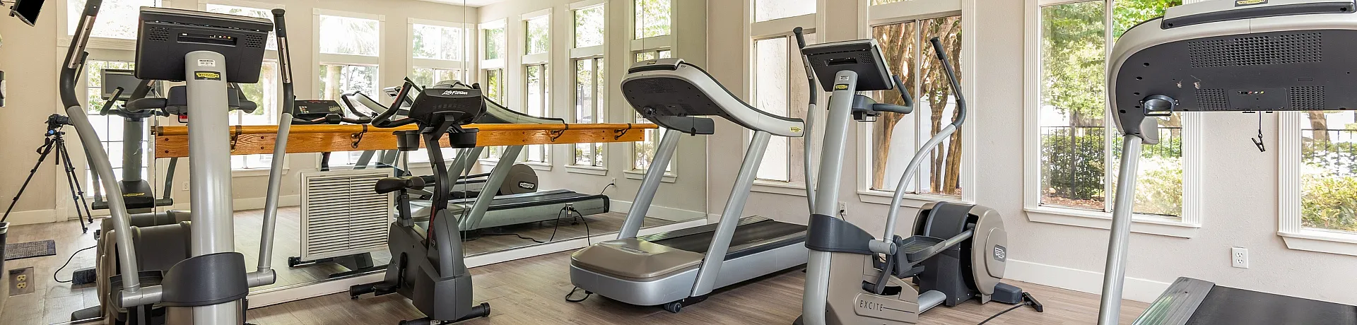Bright and airy apartment gym with modern treadmills and exercise equipment, surrounded by large windows offering scenic views.