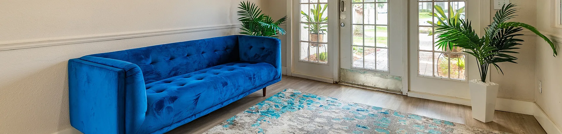 Chic living room with a vibrant blue sofa, stylish indoor plants, and elegant floor-to-ceiling windows for natural light.
