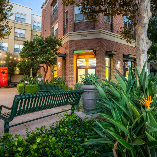 Bench by the entrance to Paragon at Old Town in Monrovia, California