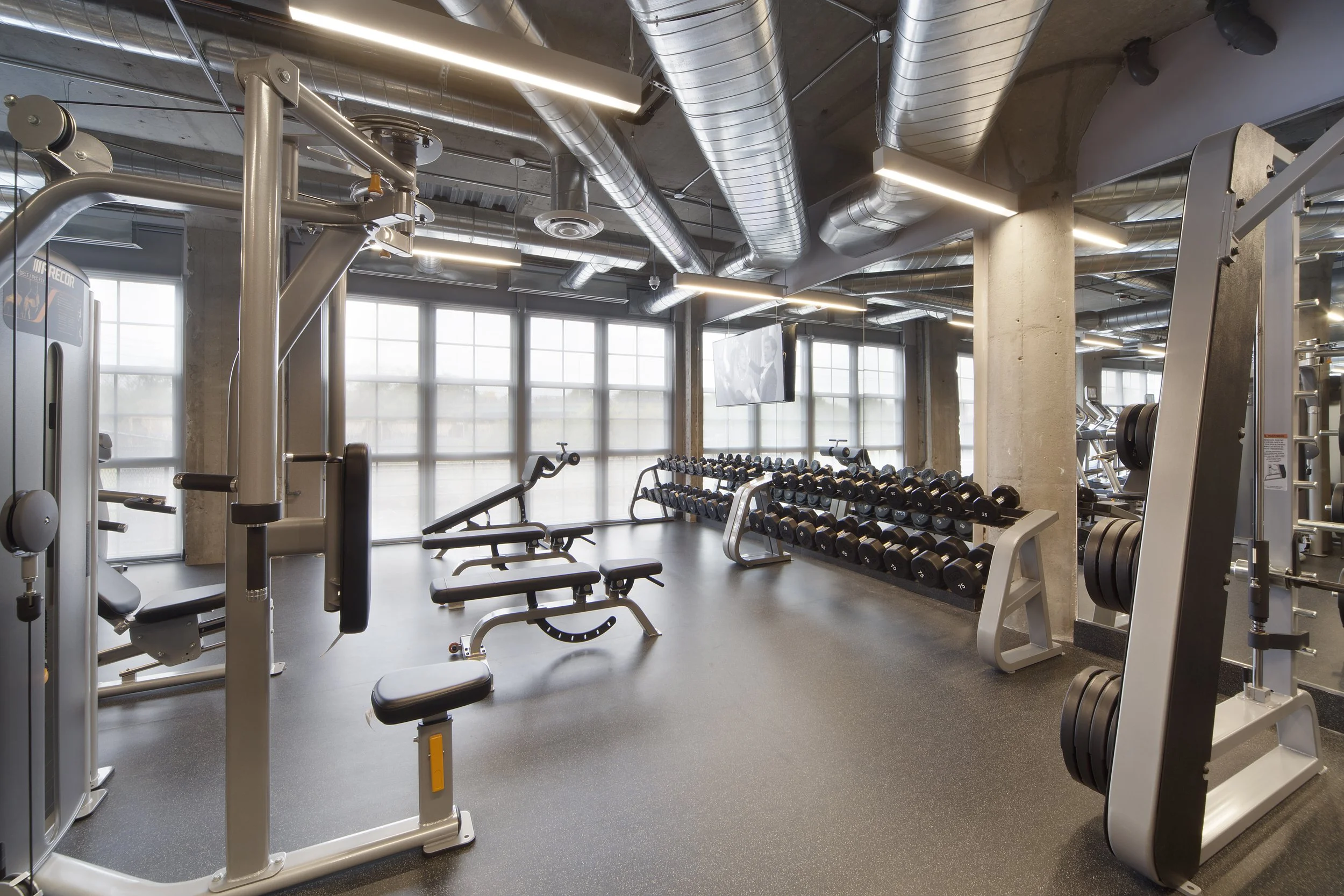 Empty modern gym with workout equipment, dumbbells, benches, and weight machines, illuminated by natural light through large windows.