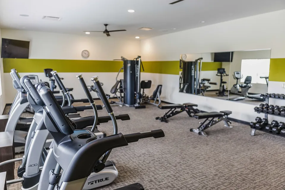 Modern fitness center with state-of-the-art exercise machines, free weights, and a mirrored wall for an inspiring workout experience.