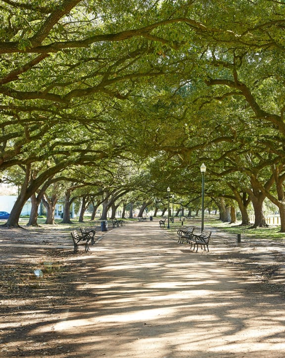 Park Area at Sladestone Shadow Creek in Pearland, Texas