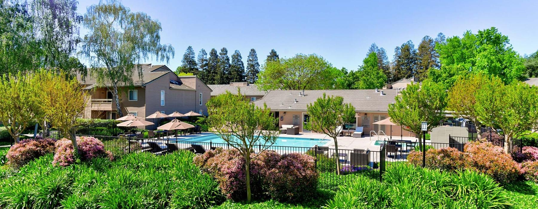 a house with a swimming pool and trees in the front