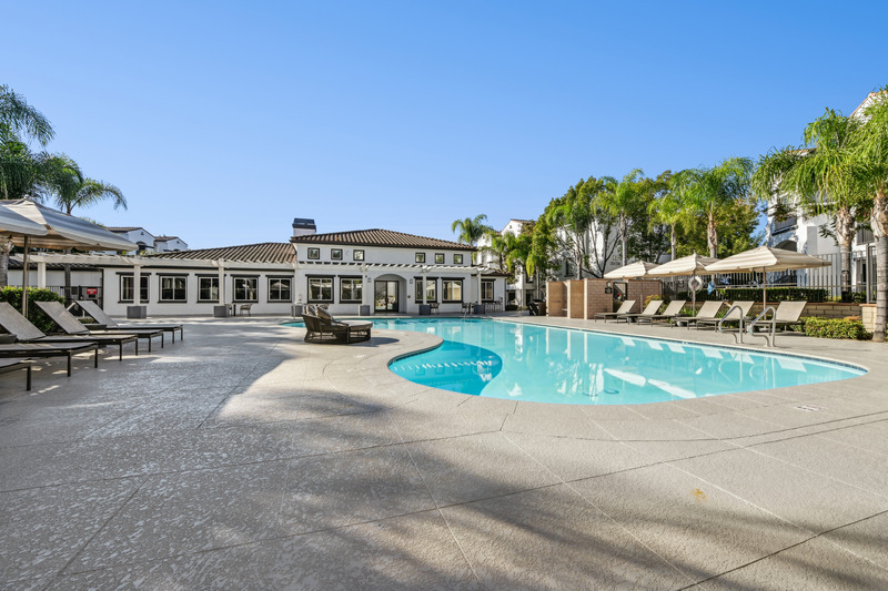 Pool with longue chairs, umbrellas, and palm trees.