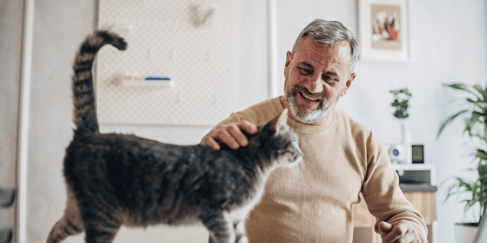 Resident petting a cat in a pet-friendly apartment at The Fredd Townhomes in San Antonio, Texas