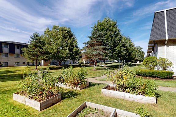 A garden with raised beds and vegetables in the foreground with apartment buildings in the background.